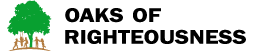 OORHomes Logo